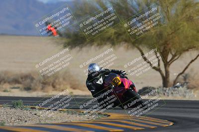 media/Feb-04-2023-SoCal Trackdays (Sat) [[8a776bf2c3]]/Turn 4 (Tree of Life 2pm)/